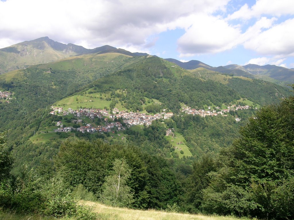 Sgomberi San Nazzaro Val Cavargna
